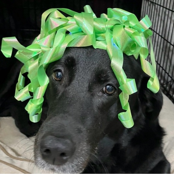 partyready
